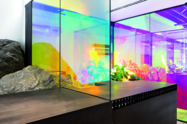Self-adhesive film for window decoration: using HEX’Perience on glass
